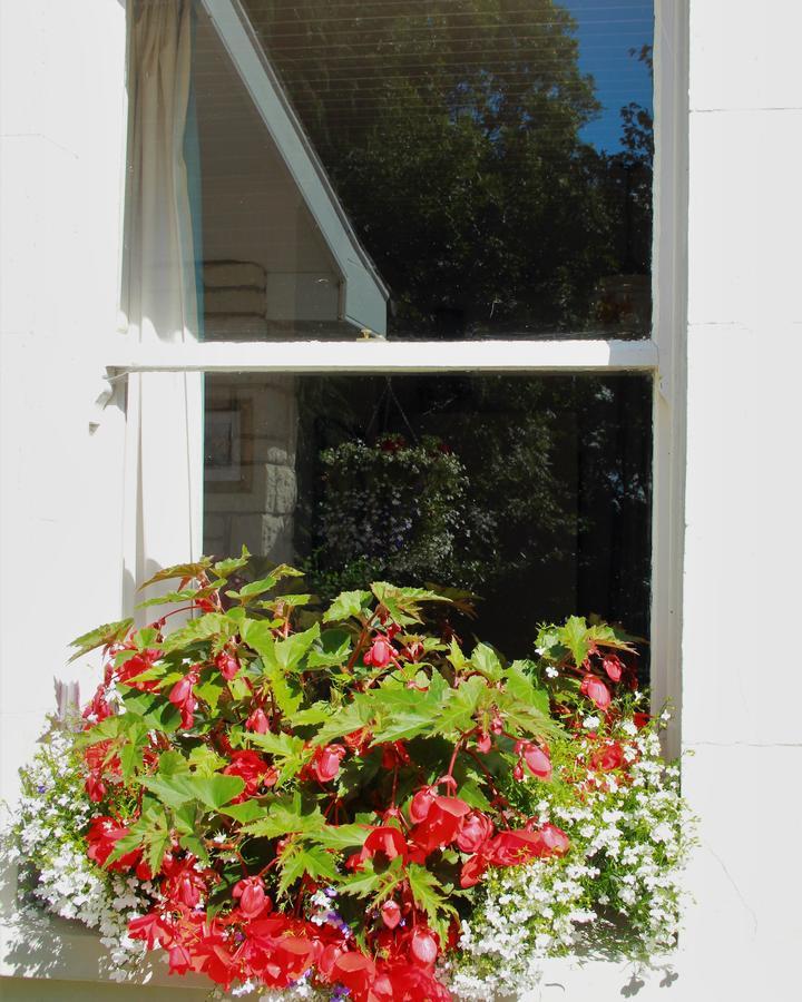 Grey Gables Farmhouse B&B Innishannon Extérieur photo